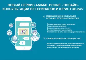 Photo №2. Veterinarian Services in Russian Federation. Price - 89$. Announcement № 3147