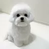 Photo №1. bichon frise - for sale in the city of Novi Vinodolski | 370$ | Announcement № 115732