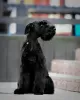 Photo №3. Giant Schnauzer puppies. Belarus