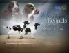 Photo №1. english springer spaniel - for sale in the city of Nizhny Novgorod | 781$ | Announcement № 74035