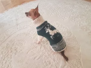 Additional photos: Sweater for dogs (cat) ORDER