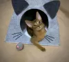 Photo №4. I will sell abyssinian cat in the city of Minsk. private announcement, from nursery - price - 642$