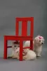 Photo №4. I will sell maltese dog in the city of Vilnius. private announcement - price - 370$