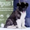 Additional photos: American Akita puppies