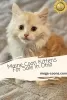 Photo №1. maine coon - for sale in the city of Milton | 2950$ | Announcement № 128344