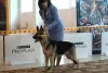 Additional photos: Handler, dog handler