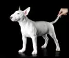 Photo №2 to announcement № 34492 for the sale of bull terrier - buy in Russian Federation from nursery