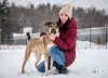 Photo №3. A young, cheerful dog Bim is looking for a home.. Russian Federation