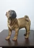 Additional photos: Brutal Shar Pei puppy