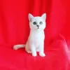 Photo №1. british shorthair - for sale in the city of Nikolaev | 25$ | Announcement № 8328