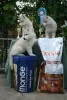 Photo №2 to announcement № 106621 for the sale of siberian husky - buy in Serbia 