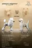 Photo №2 to announcement № 117302 for the sale of poodle (toy) - buy in Serbia 