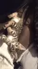 Photo №3. 2 Vaccinated Bengal kittens for sale now. Spain