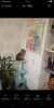 Photo №2 to announcement № 11676 for the sale of burmese cat - buy in Russian Federation breeder