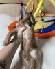 Photo №2 to announcement № 56200 for the sale of caracal - buy in Germany breeder