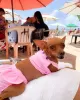 Photo №1. miniature pinscher - for sale in the city of Калифорния Сити | negotiated | Announcement № 99083