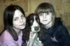 Photo №2 to announcement № 9540 for the sale of russian spaniel - buy in Russian Federation from the shelter