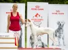 Photo №4. I will sell ibizan hound in the city of Vilnius. breeder - price - 2008$