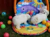 Photo №1. maltese dog - for sale in the city of Siófok | negotiated | Announcement № 58245