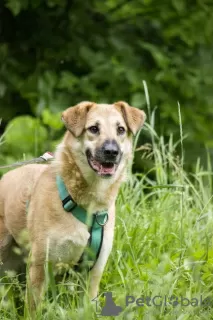 Additional photos: A little girl with the most amazing smile is looking for a home.