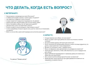 Photo №3. Veterinary Service Animal Phone in Russian Federation