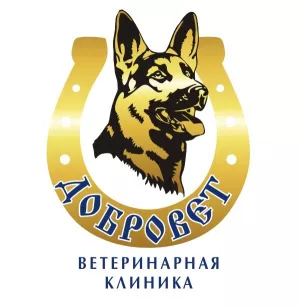 Photo №1. Veterinarian Services in the city of Chelyabinsk. Price - negotiated. Announcement № 5821