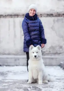 Photo №3. Samoyed Imperiya Sibiri Salvador Allende. Russian Federation