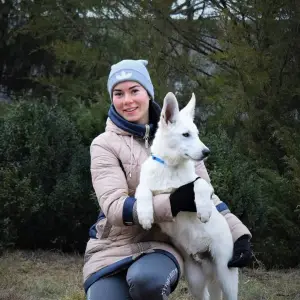 Photo №3. Swiss White Shepherd Puppy. Ukraine