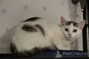 Additional photos: A charming girl Lyalechka is looking for a home and a loving family!