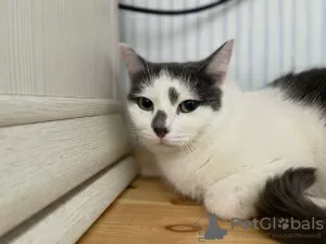 Additional photos: A charming girl Elya is looking for a home and a loving family!