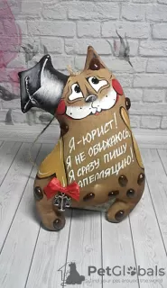 Photo №3. Legal disputes with Veterinary clinics in St. Petersburg and the Leningrad in Russian Federation